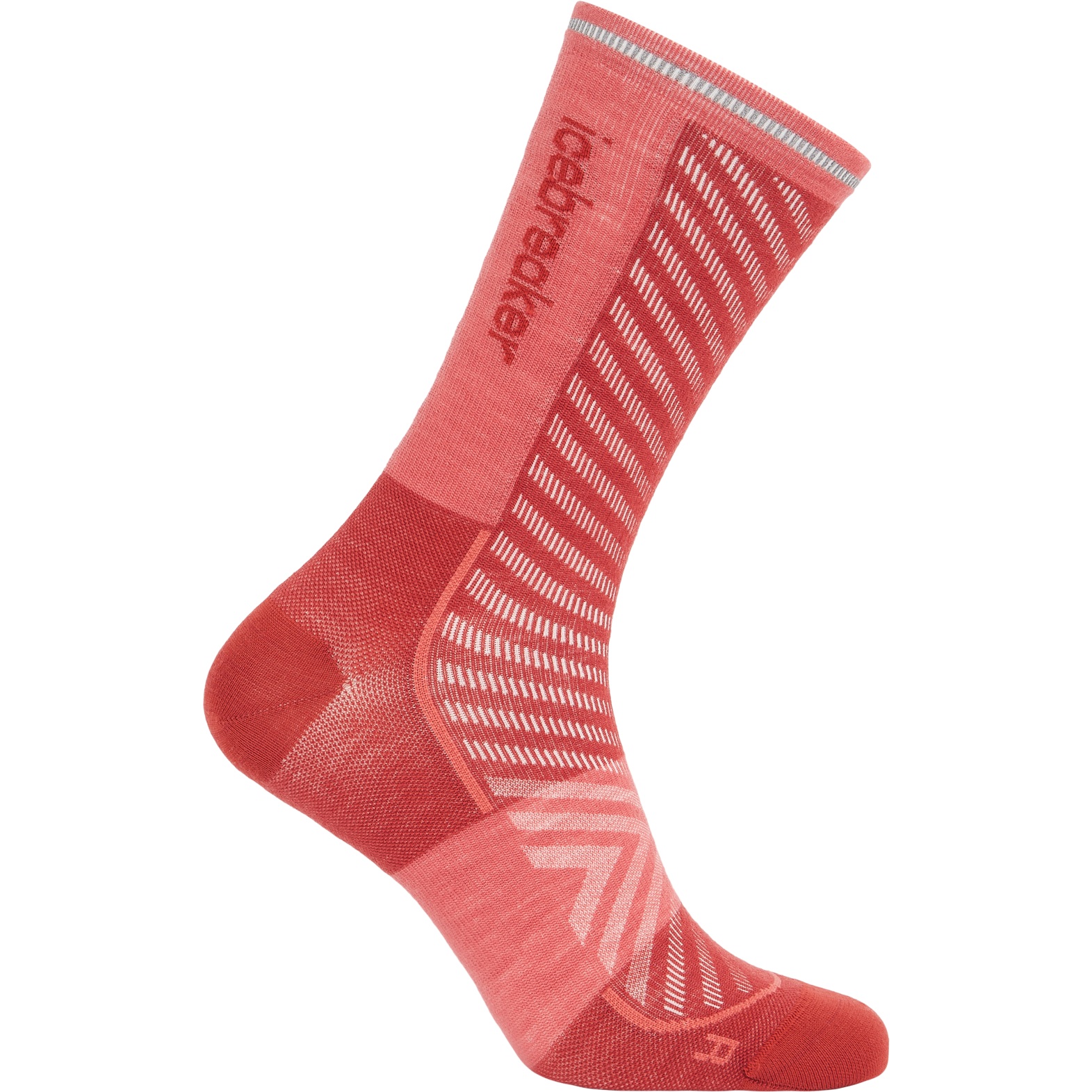 Produktbild von Icebreaker Merino Run+ Ultralight Socken Crew Herren - Jasper/Plume