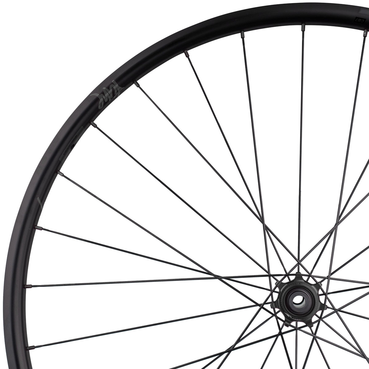 Bild von Tune Schwarzbrenner 20 Disc Skyline Vorderrad - 28" | Carbon | Princess CL | Keramik Lager | Clincher | Centerlock | 12x100mm - 28-Loch - schwarz