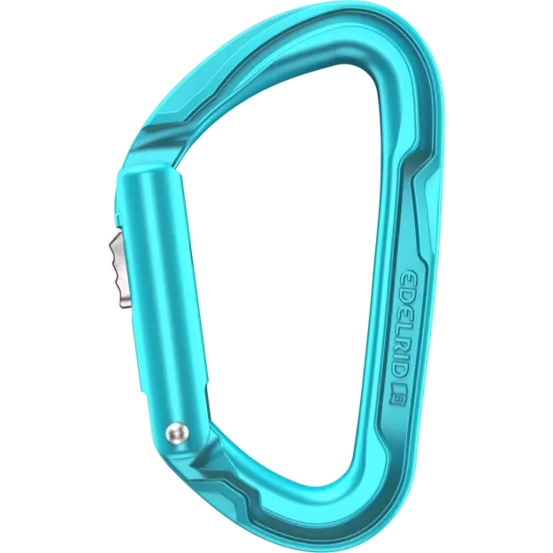 Zdjęcie: Edelrid Pure Slider Karabińczyk - icemint