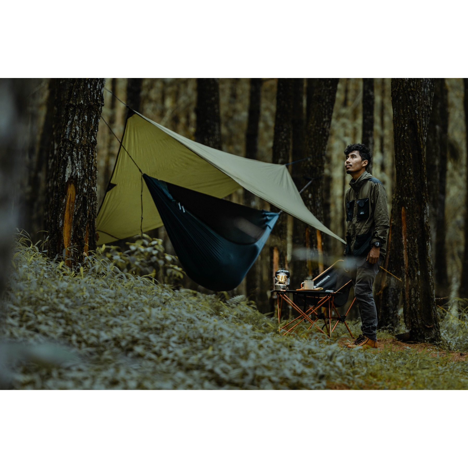 TICKET TO THE MOON LIGHTEST PRO ハンモック Amazon.co.jp: チケットトゥザムーン ライテスト プロ