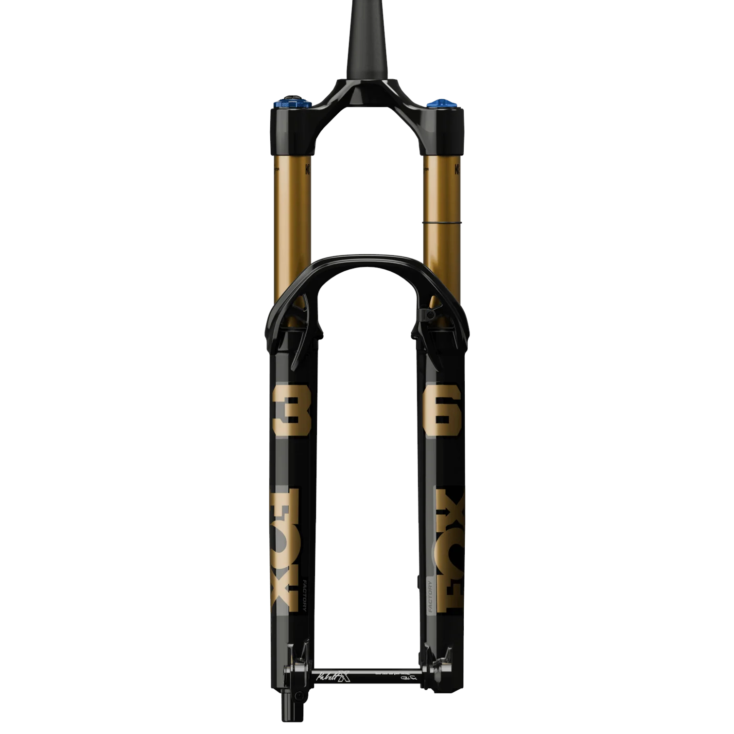 FOX 36 Suspension Fork - E-MTB | Factory | FLOAT EVOL Glidecore