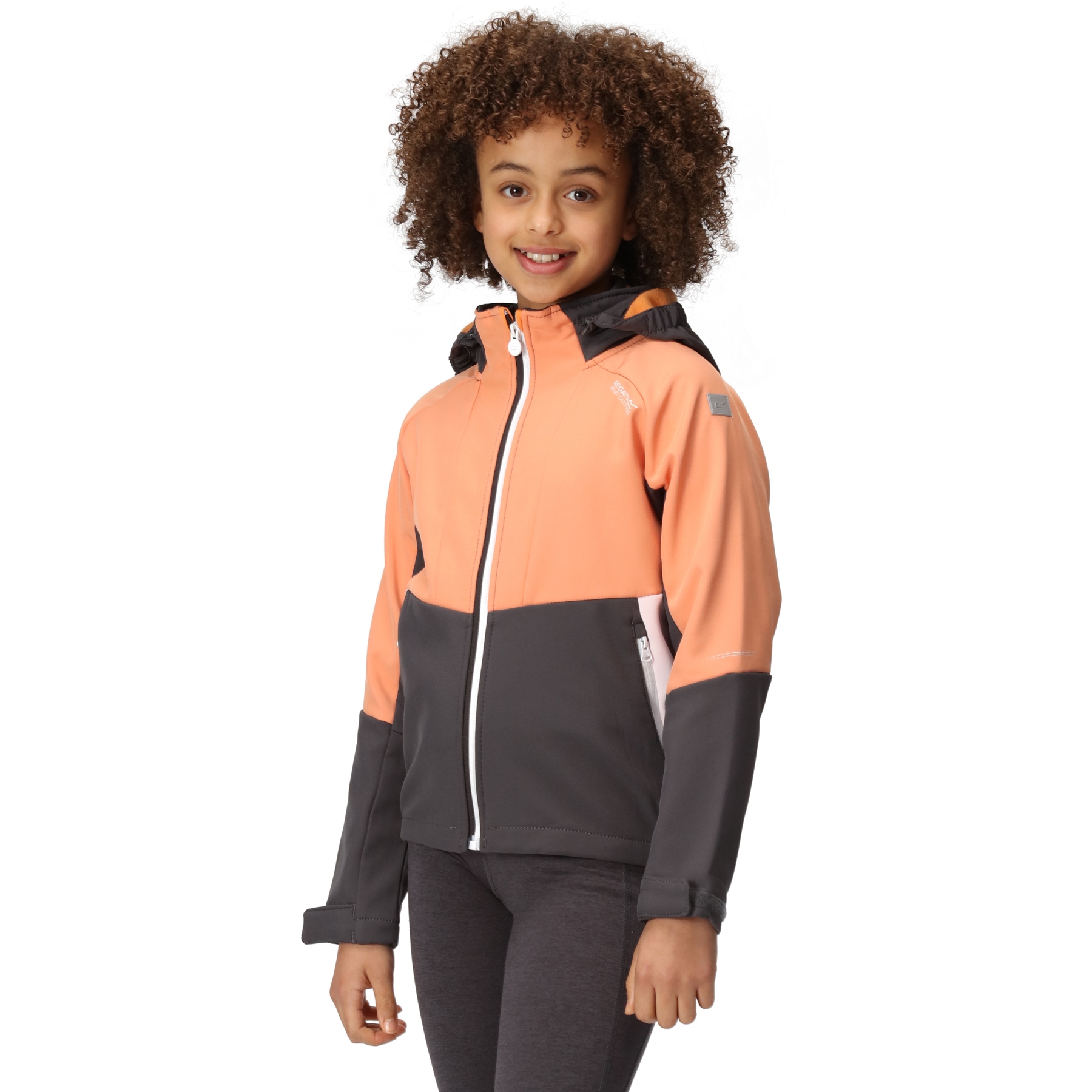 Picture of Regatta Haydenbury Softshell Jacket Kids - Seal Grey/Apricot Crush/White E6V