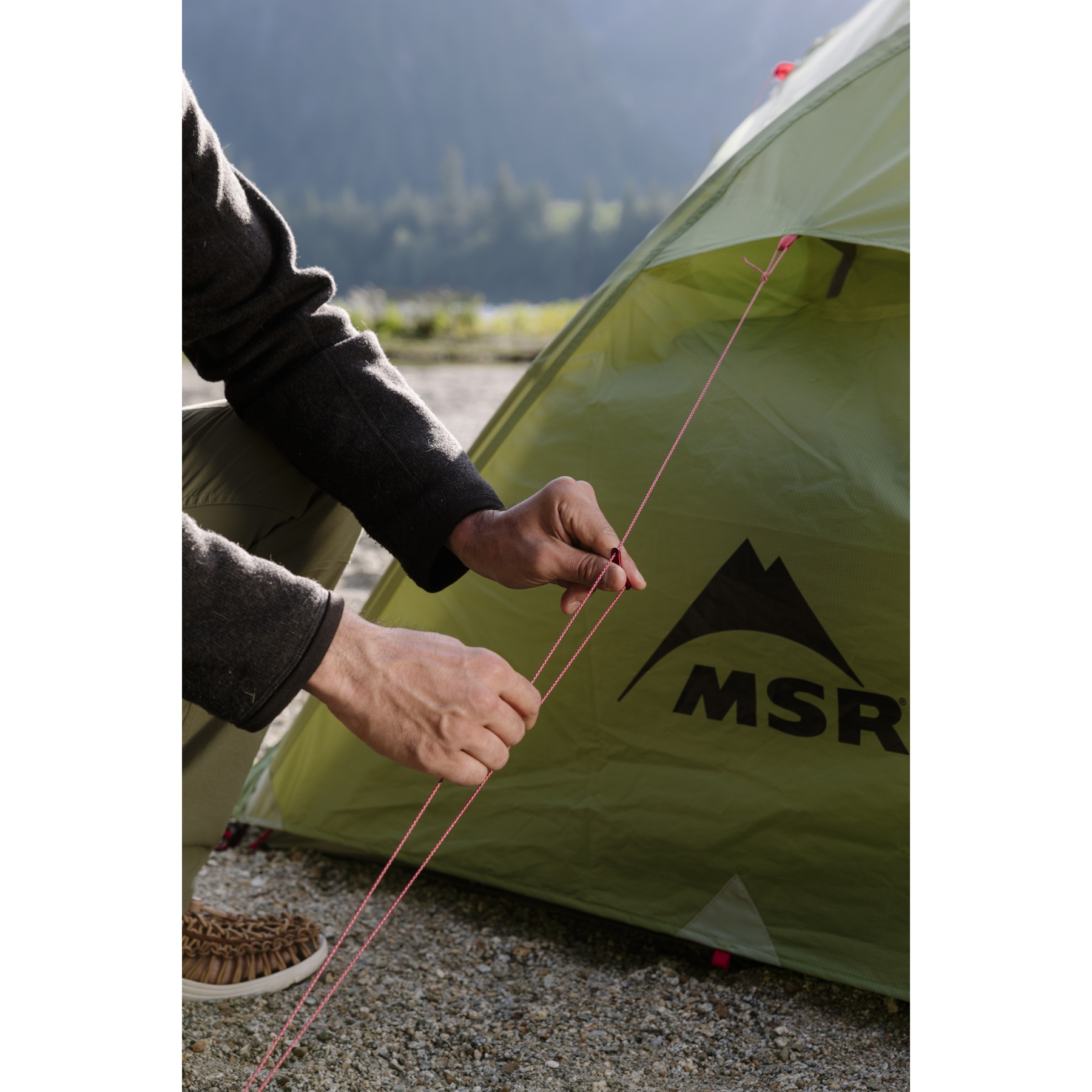 MSR Elixir 2 Tent - Green | BIKE24