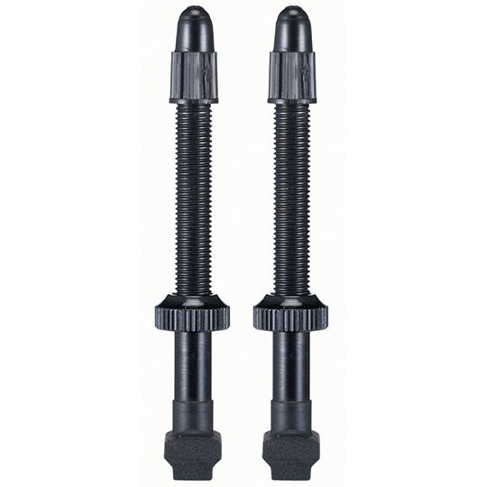 Picture of Giant Tubeless Valve Set - 42 mm Rim