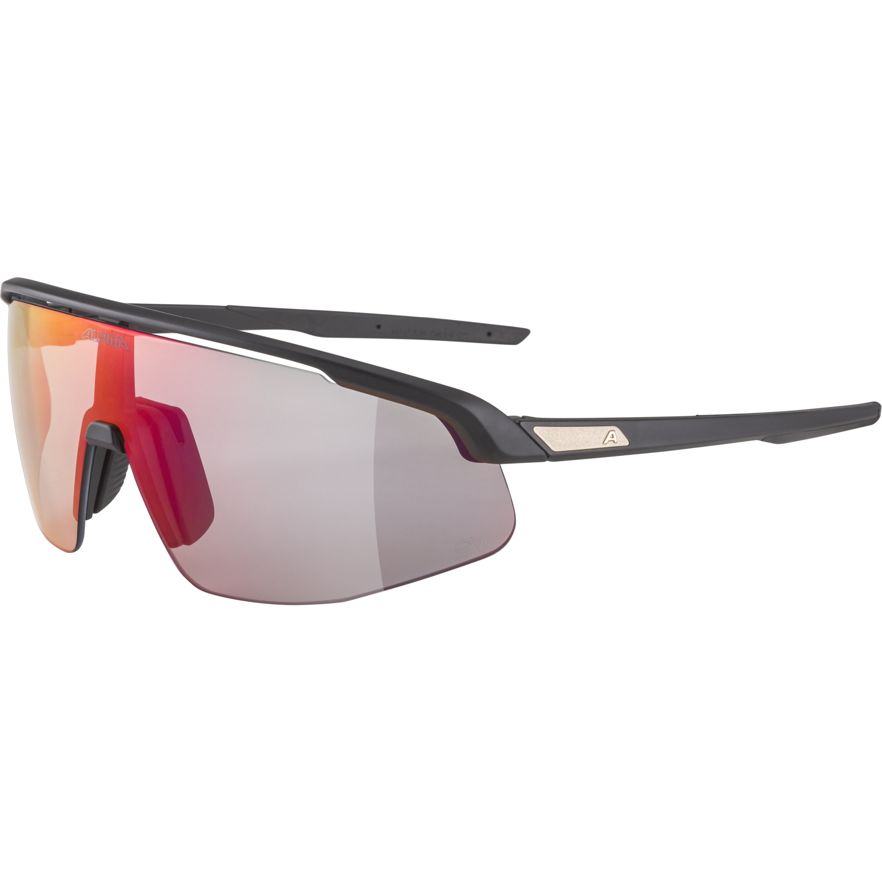 Image of Alpina Turbo Pro QV Glasses - black matt/rainbow mirror