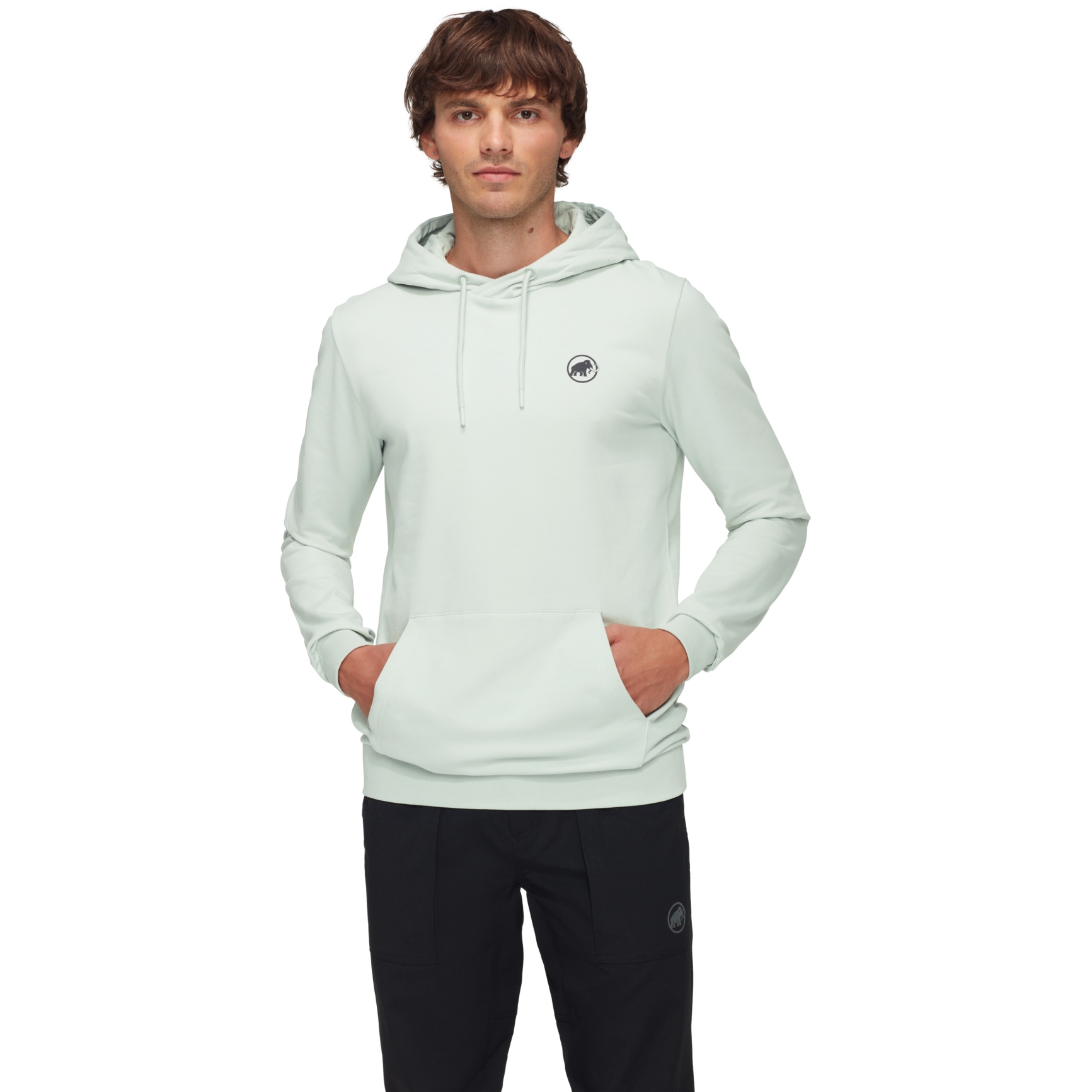 Bild von Mammut Original Kapuzenpullover Herren - silver sage