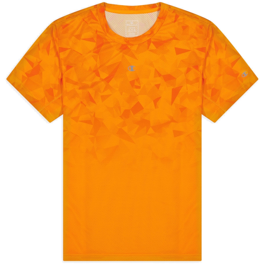Picture of Champion Legacy Crewneck T-Shirt 217093 - orange