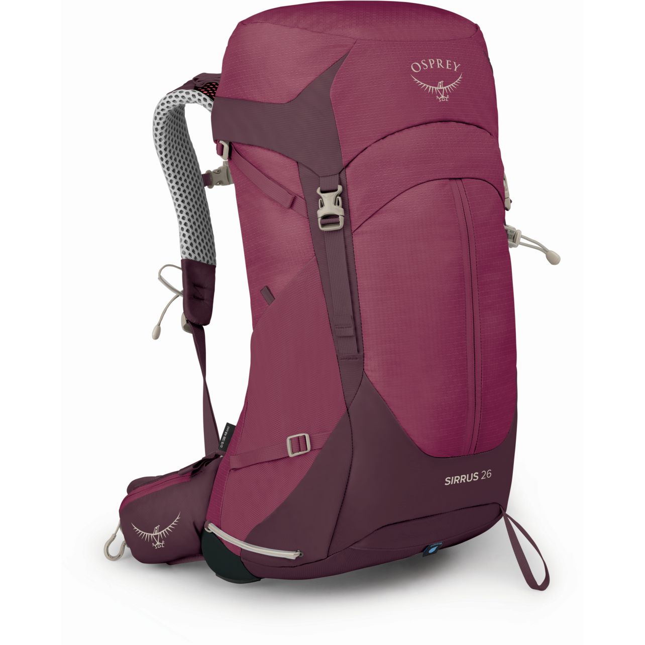 Bild von Osprey Sirrus 26 Rucksack Damen - Elderberry Purple/Chiru Tan