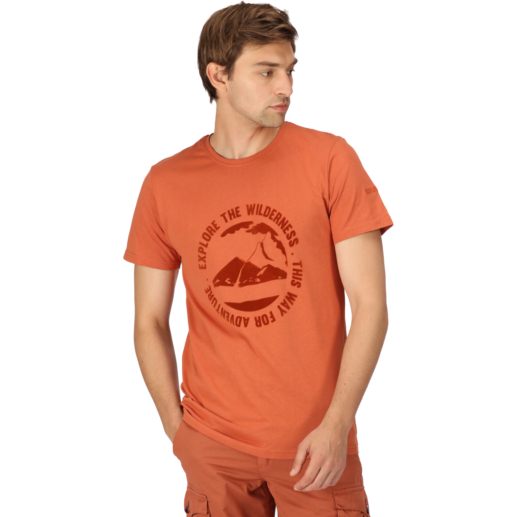 Picture of Regatta Cline VII T-Shirt - Baked Clay K13