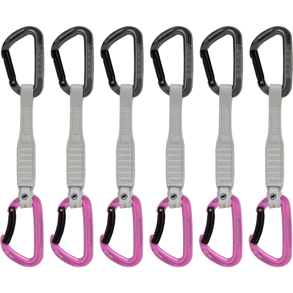 Productfoto van Mammut Workhorse Keylock 17 cm Quickdraw Set - Set van 6 - grey-pink