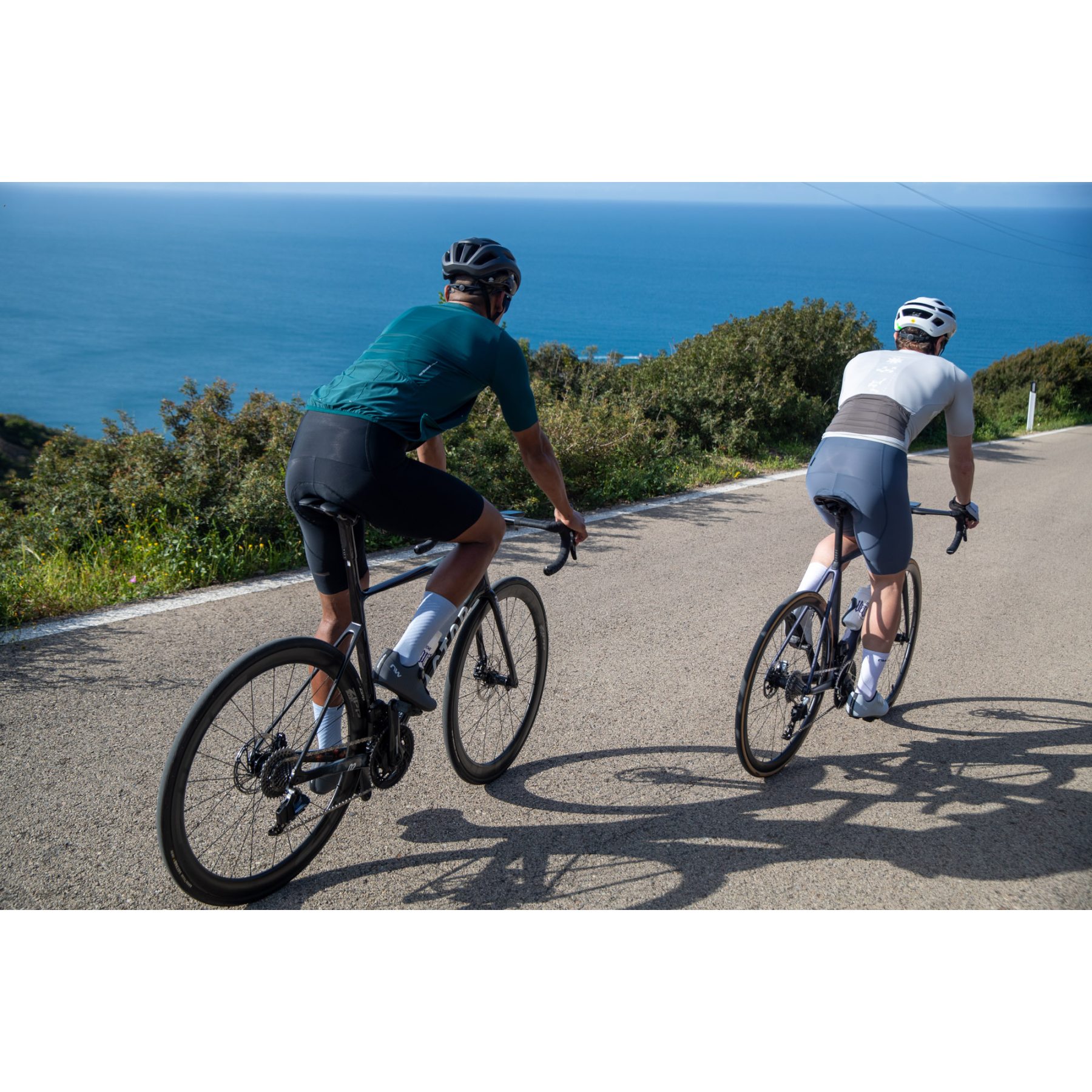 Northwave Fast Bibshorts Men - black 10 | BIKE24