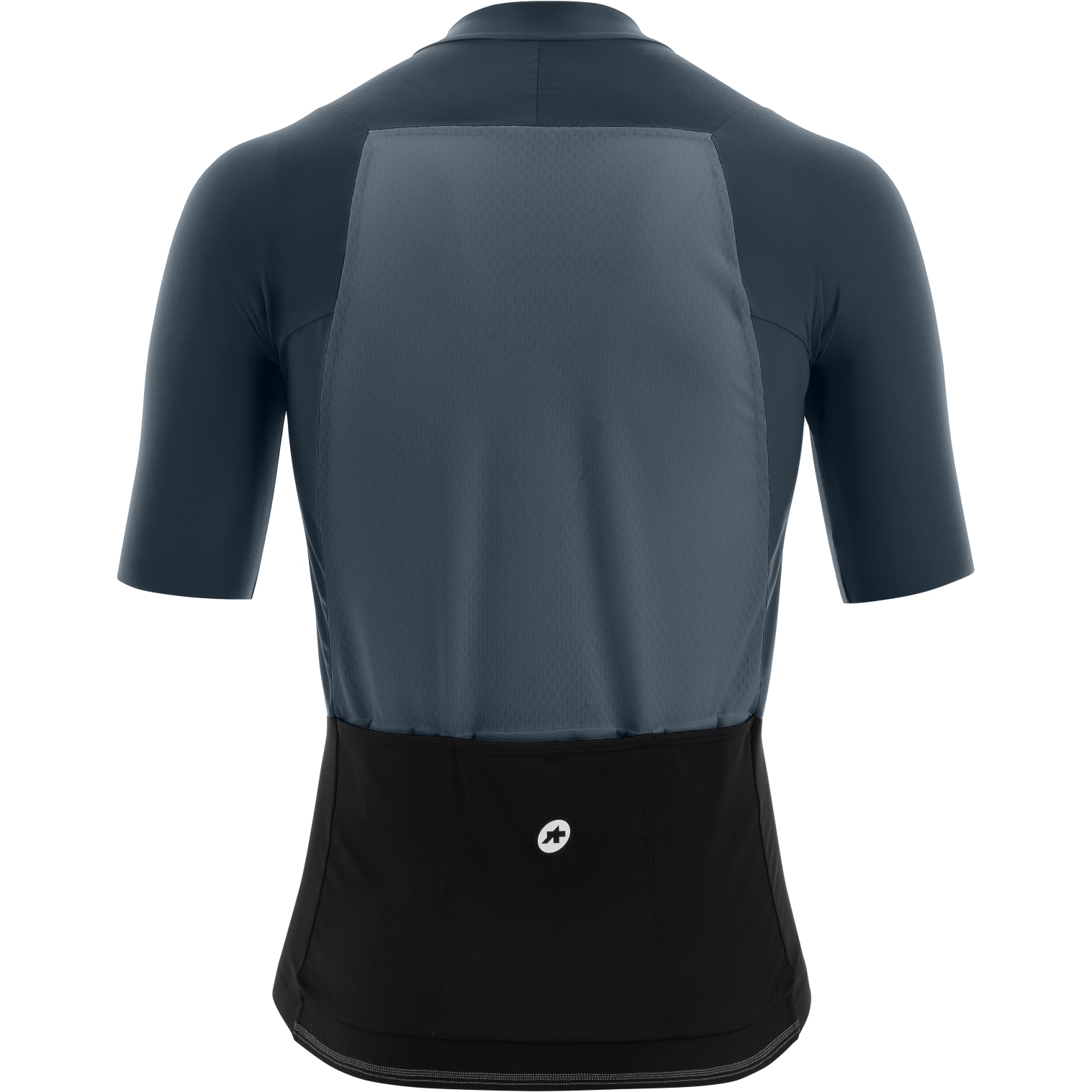 Assos MILLE GTS C2 Short Sleeve Jersey Men - kosimo granit | BIKE24
