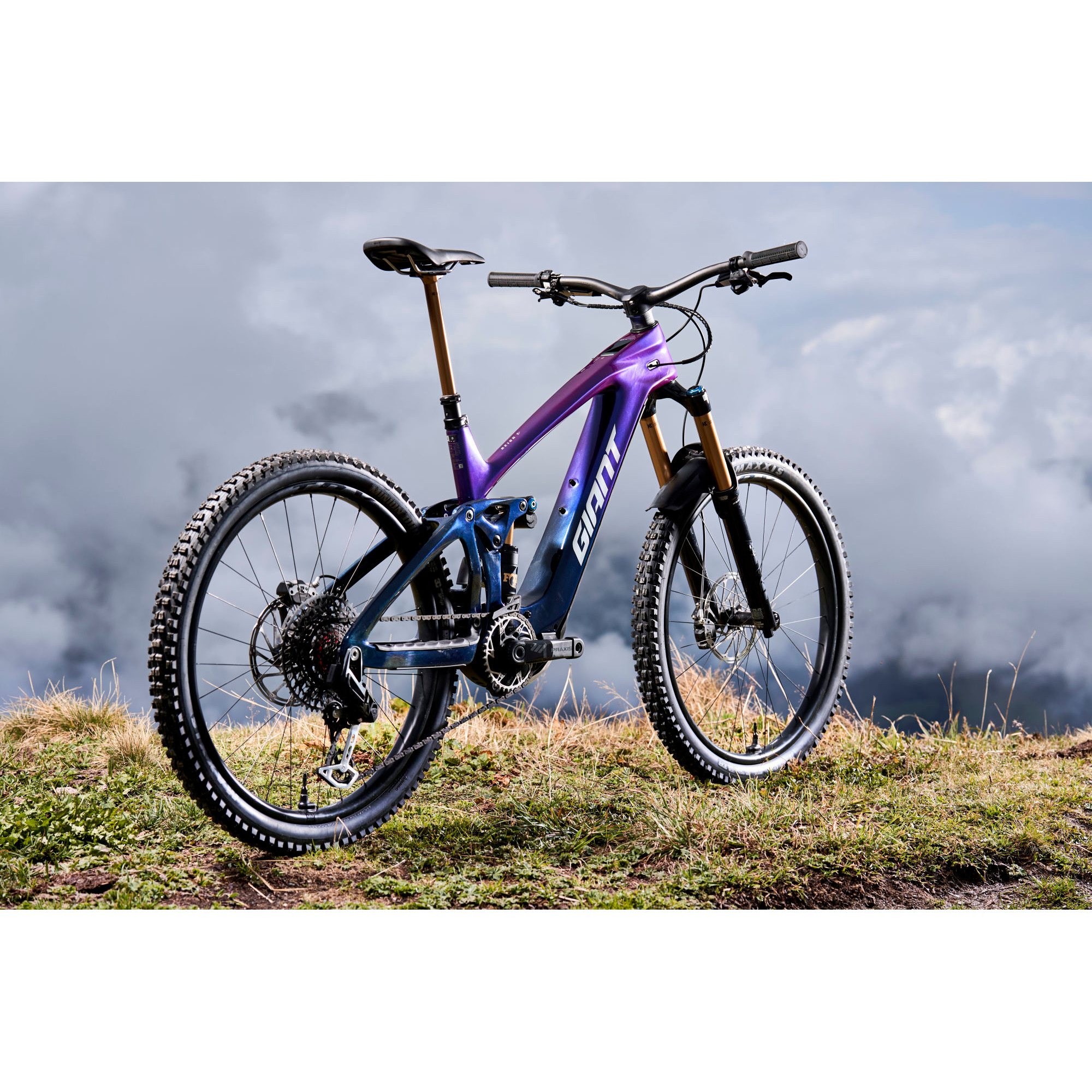 Giant REIGN ADVANCED E+ 0 - Carbon Electric Mountain Bike - 2026