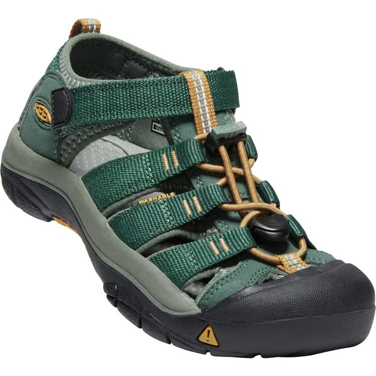 Image of KEEN Newport H2 Sandals Youth - Green Gables / Wood Thrush