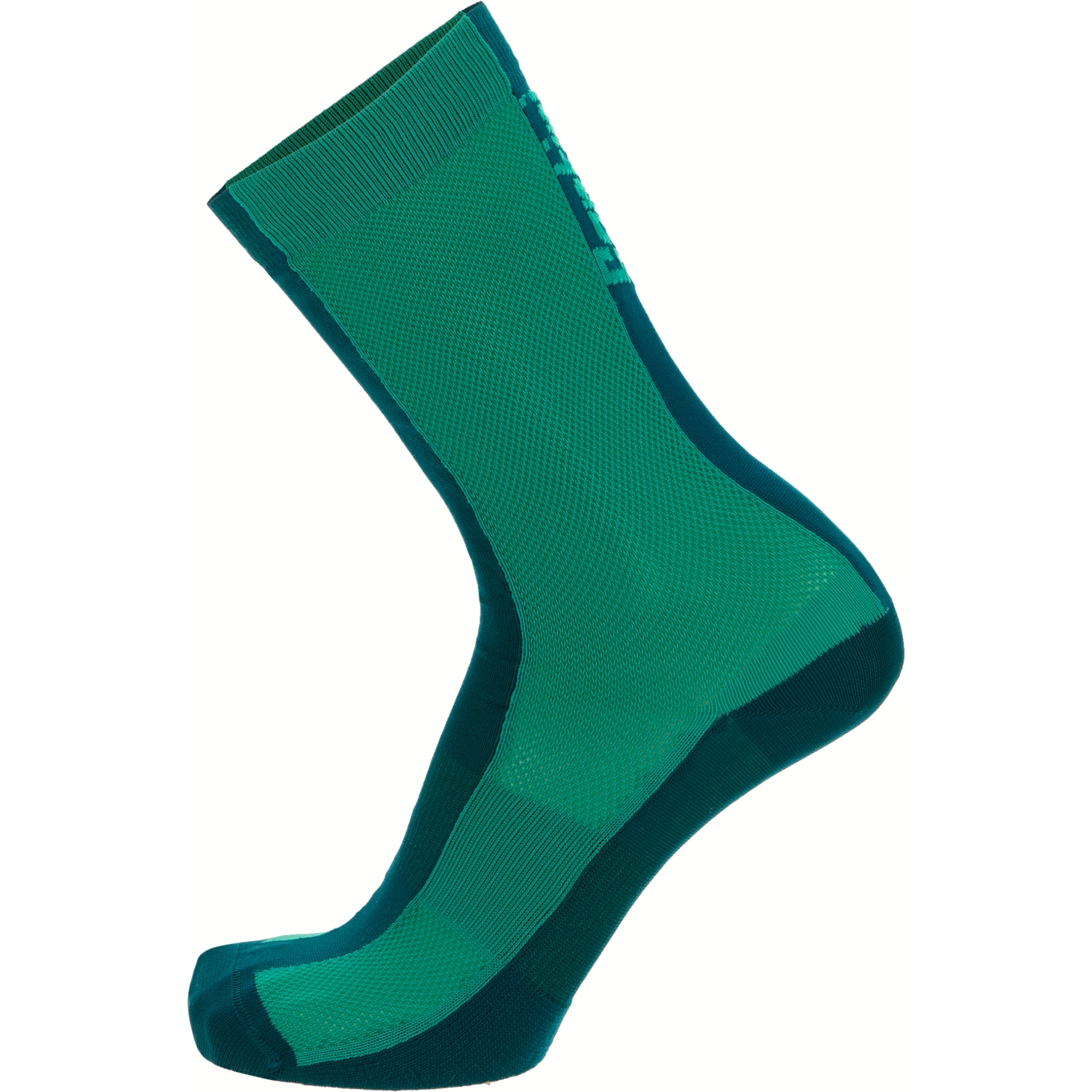 Produktbild von Santini Puro High Profile Socken 1S652QSKPURO - grün