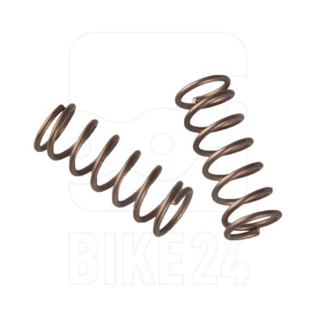 Picture of Rohloff Axle Springs for the Freewheel