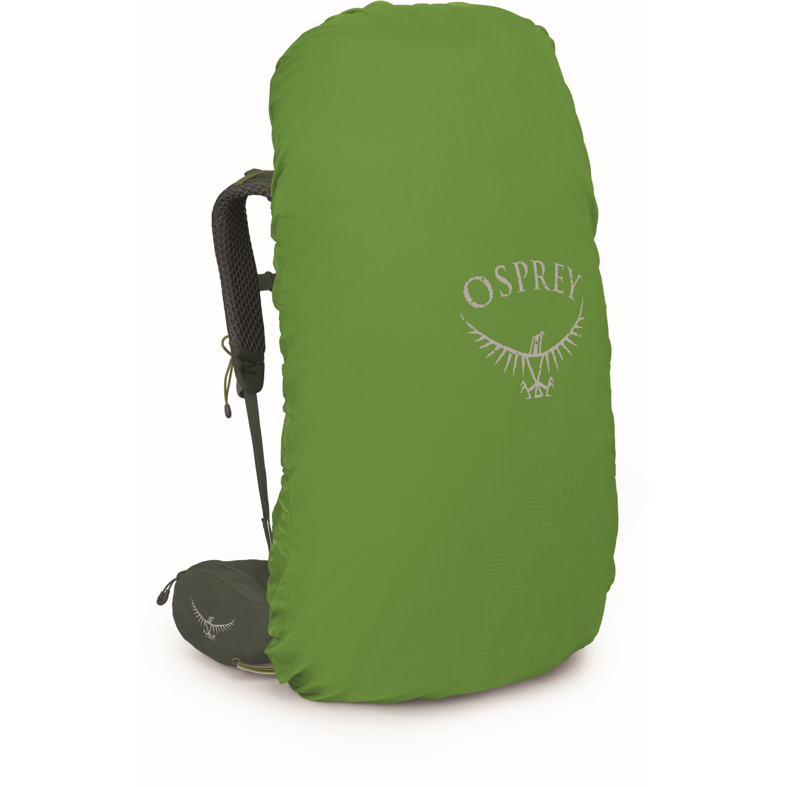 Osprey Mochila - green/verde 