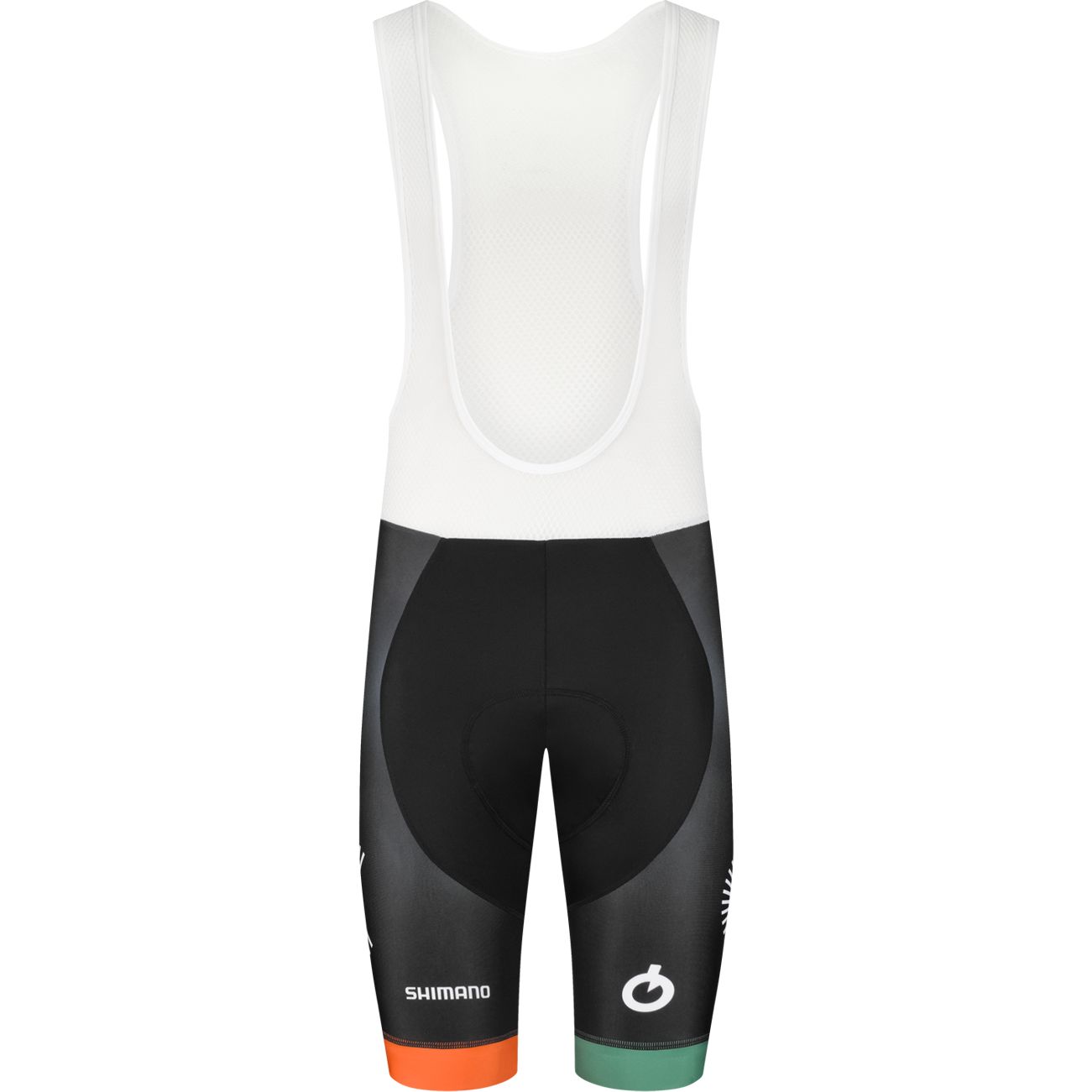 Productfoto van Cannondale Replica Fietsshort met Bretels Heren - graphic