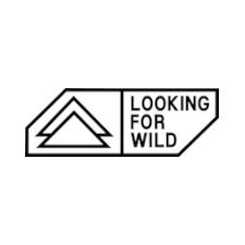 LOOKING&#x20;FOR&#x20;WILD