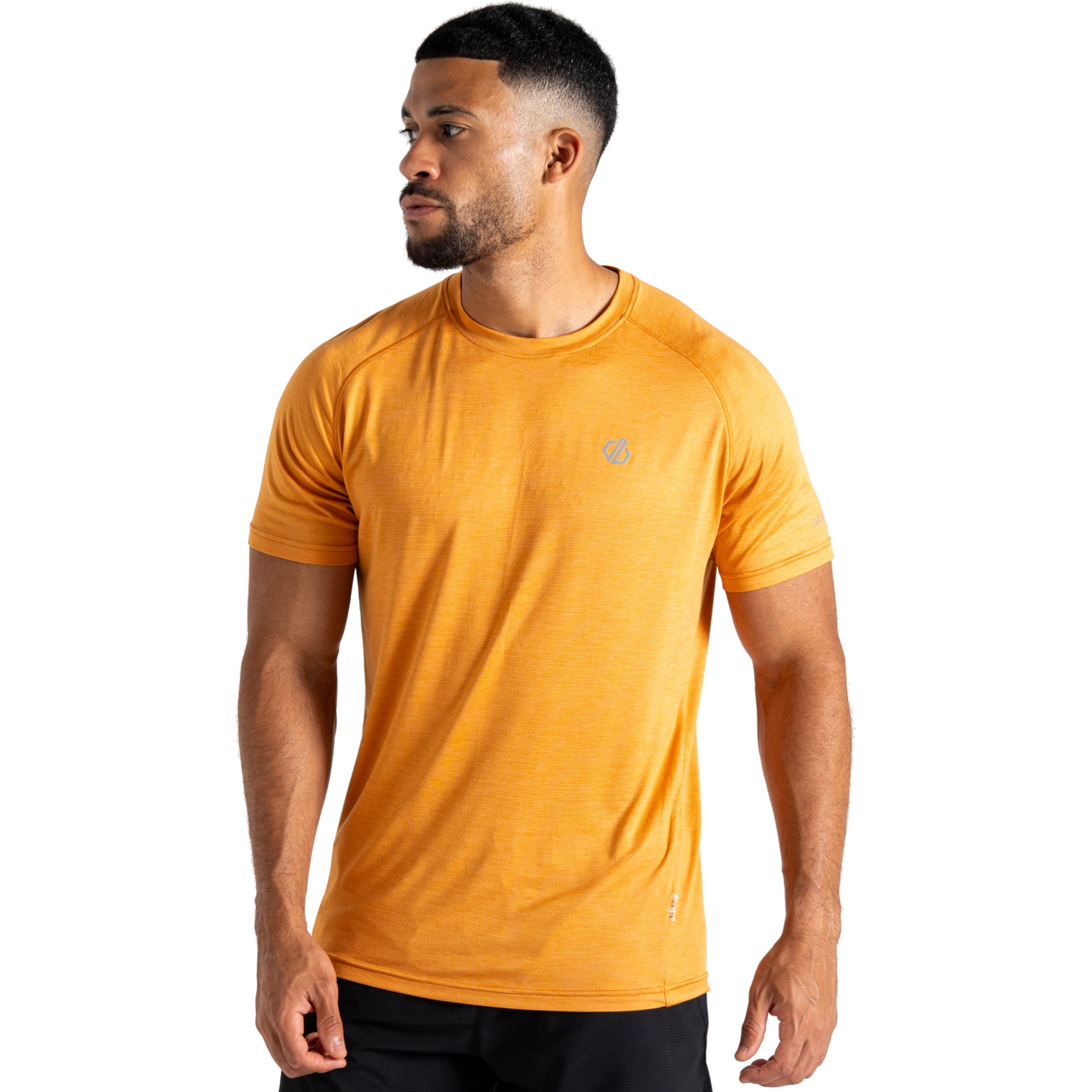 Foto de Dare 2b Camiseta Hombre - Persist - T6L Buckskin Marl