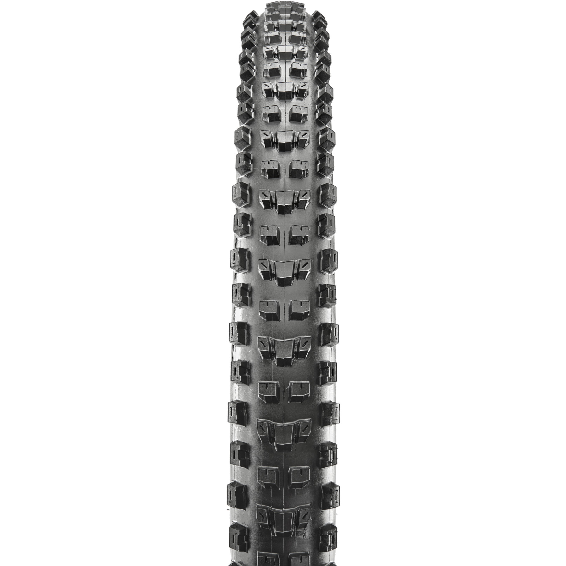 Maxxis Dissector Folding Tire - 3C MaxxTerra | DD TR | WT