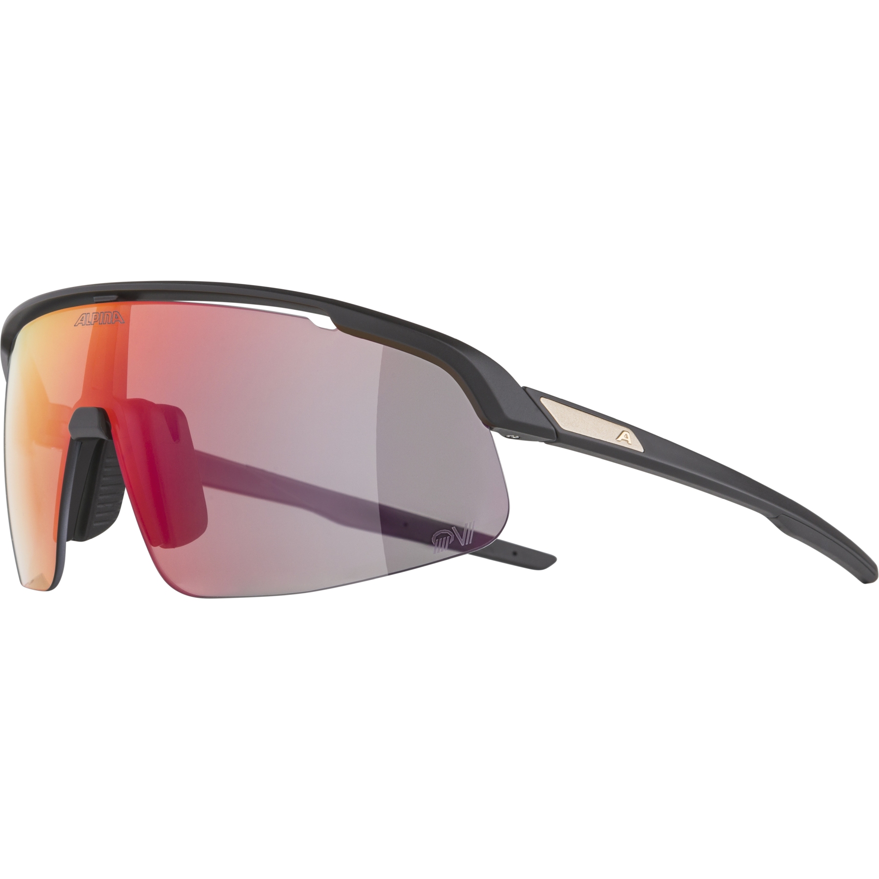 Alpina Turbo Pro S QV Glasses - black matt/rainbow mirror | BIKE24