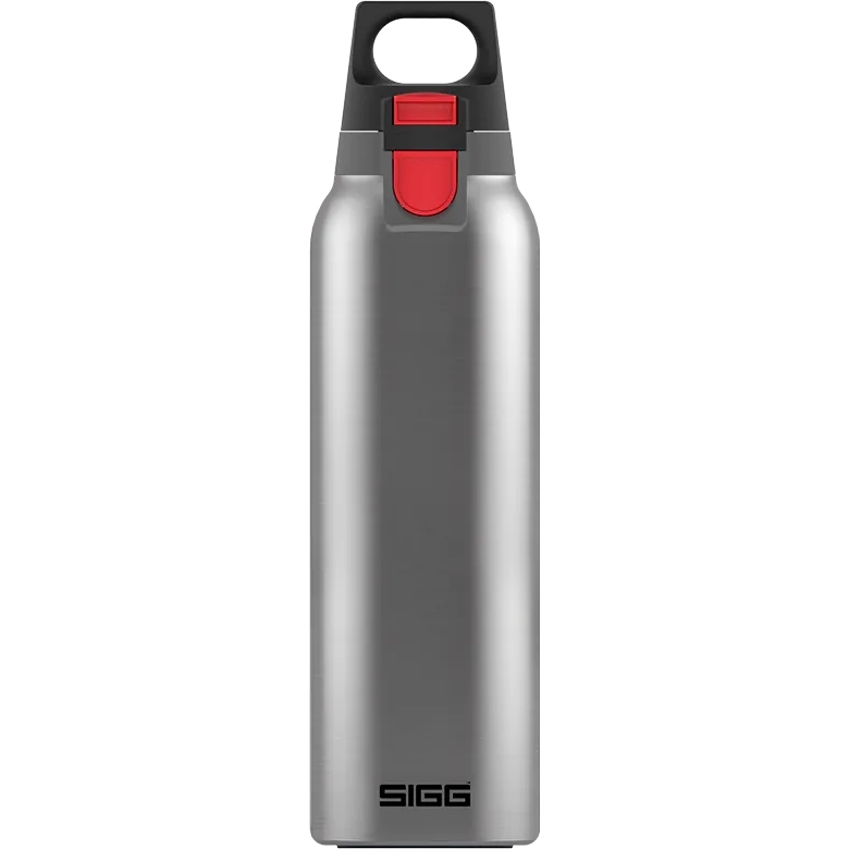 Immagine prodotto da SIGG Borraccia Termica - Hot &amp; Cold ONE Thermo Flask - 0.55 L - Light Brushed