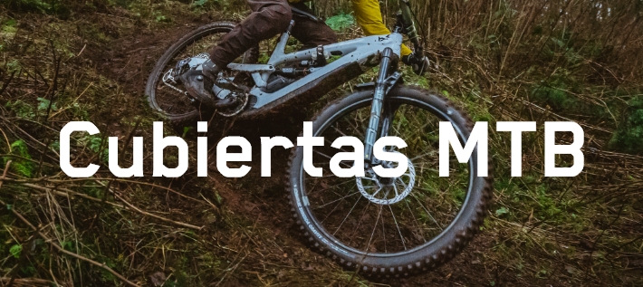 Bicicleta de montaña en un descenso con cubiertas Schwalbe