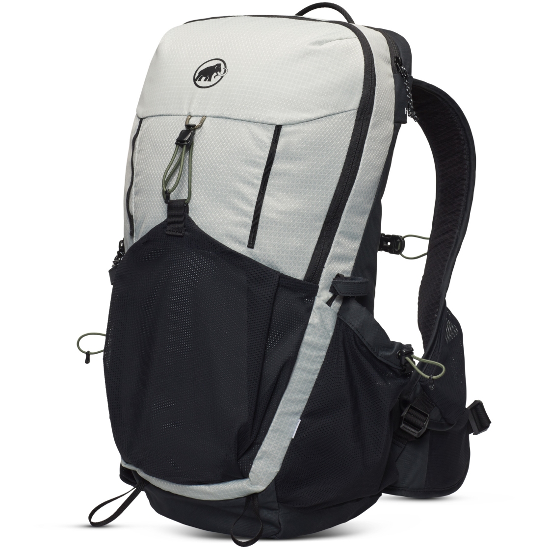 Produktbild von Mammut Ducan 22 Rucksack - silver sage-schwarz