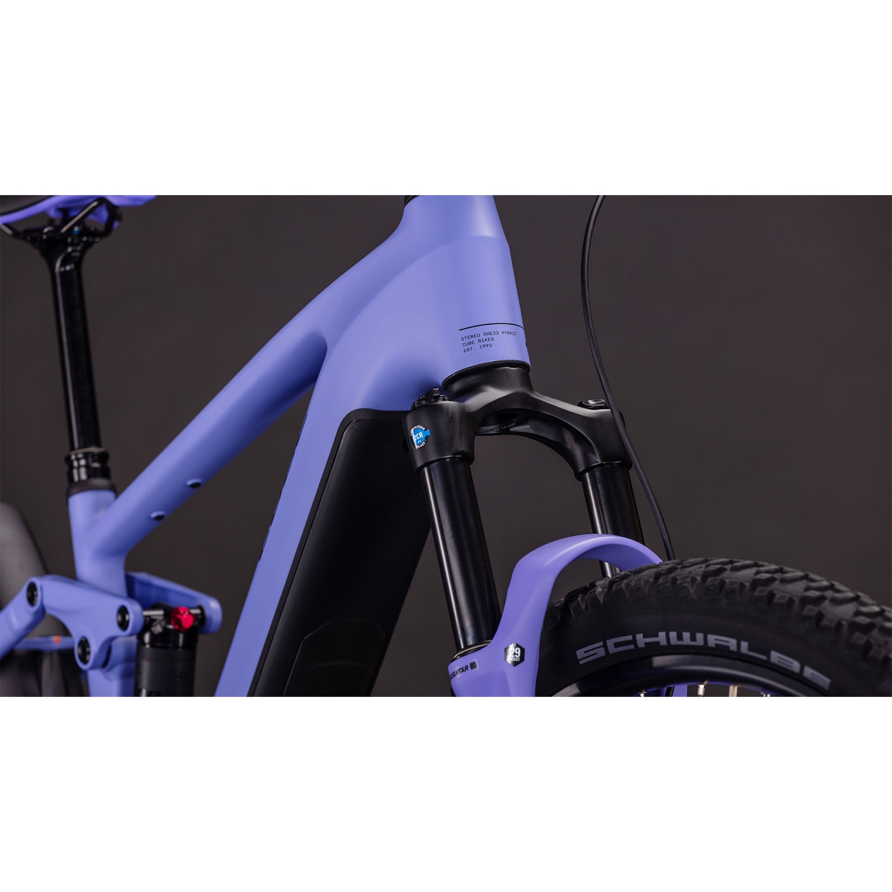 fafrees e-bike klapprad Fafrees F20 250W 20