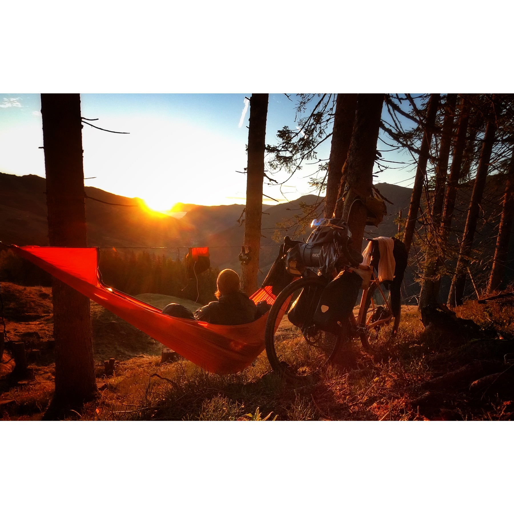 TICKET TO THE MOON LIGHTEST PRO ハンモック PRO HAMMOCK | TICKET TO THE MOON