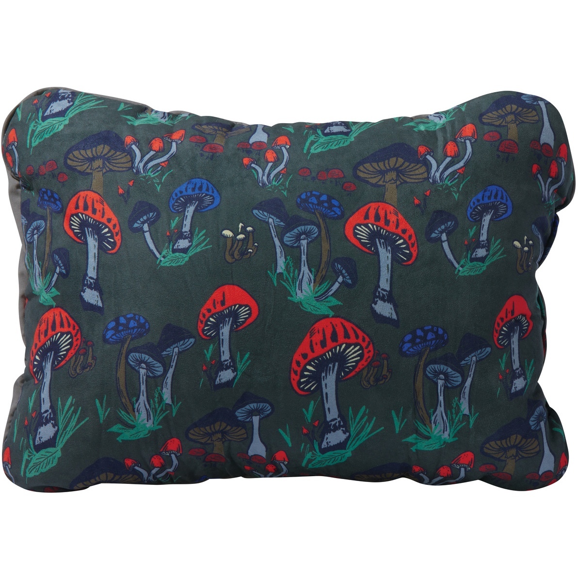 Picture of Therm-a-Rest Compressible PillowCinch R - Fun Guy Print