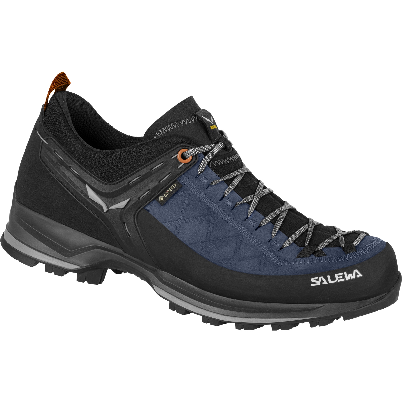 Picture of Salewa Mountain Trainer 2 GTX Hiking Shoes Men - blue seal/black 2490