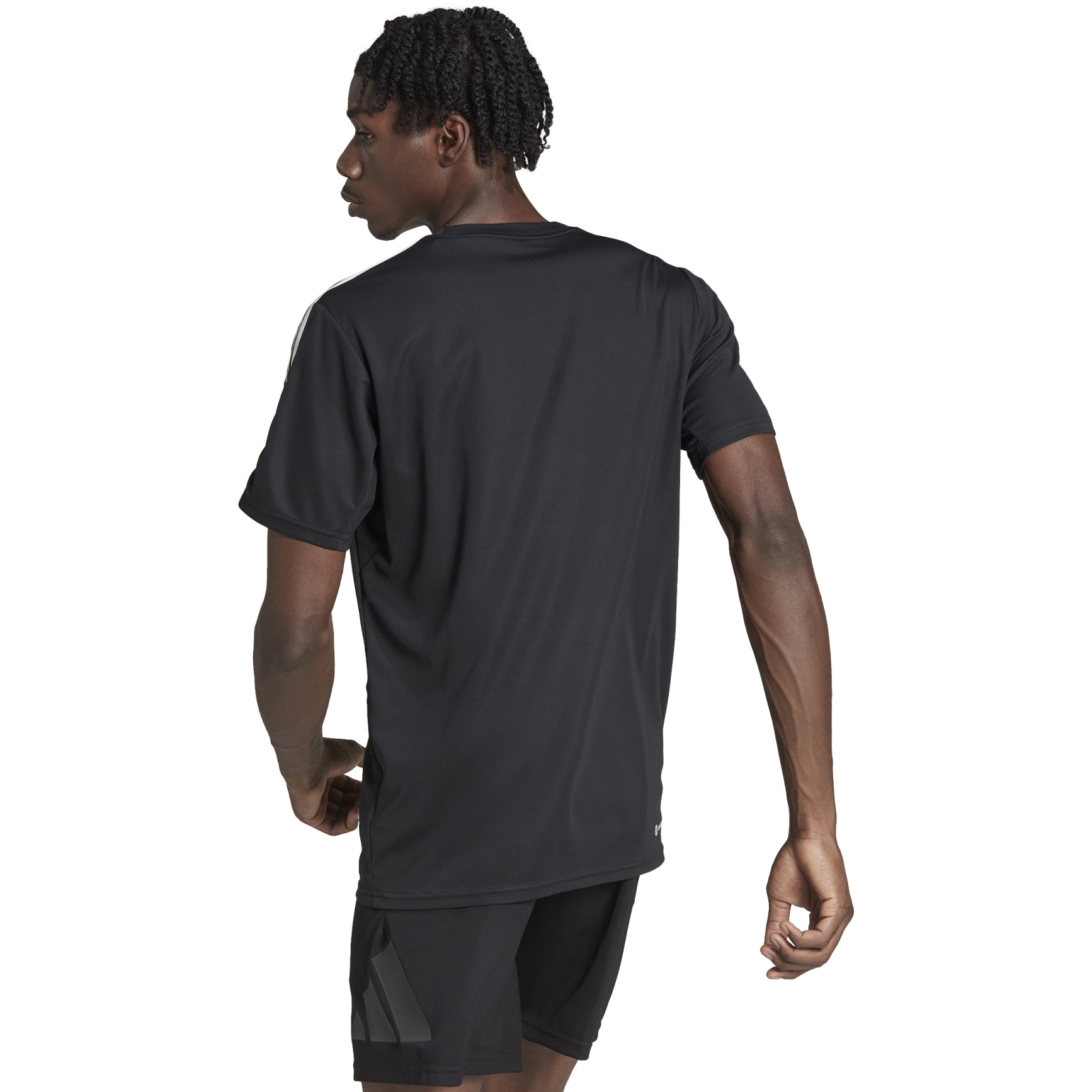 Rijd weg overschot Onze onderneming adidas T-Shirt Heren - Train Essentials - zwart/wit IB8150 | BIKE24