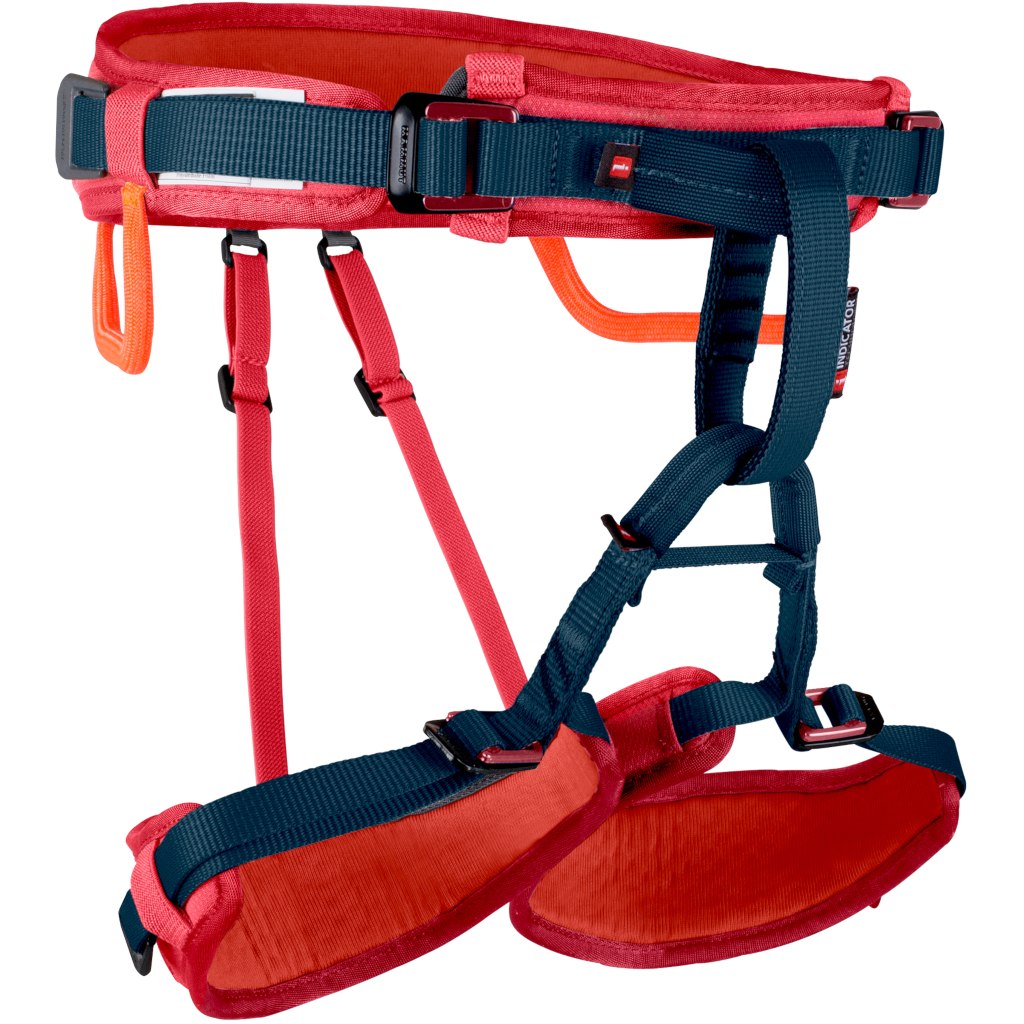 Image of Mammut Ophir Harness Kids - barberry