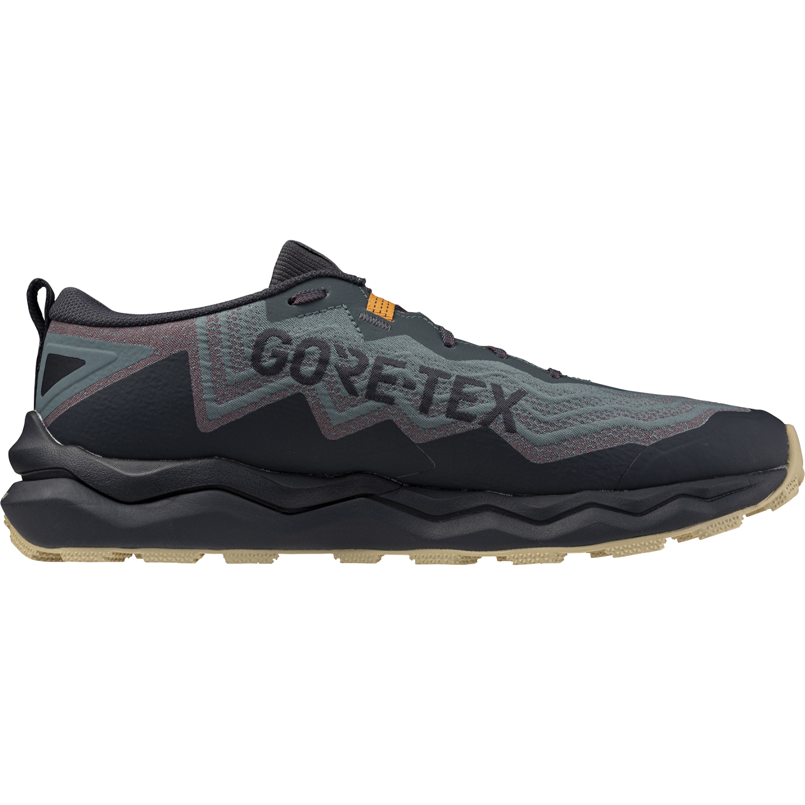 Mizuno Wave Daichi 9 GTX Trail Running Shoes Men - North Atlantic