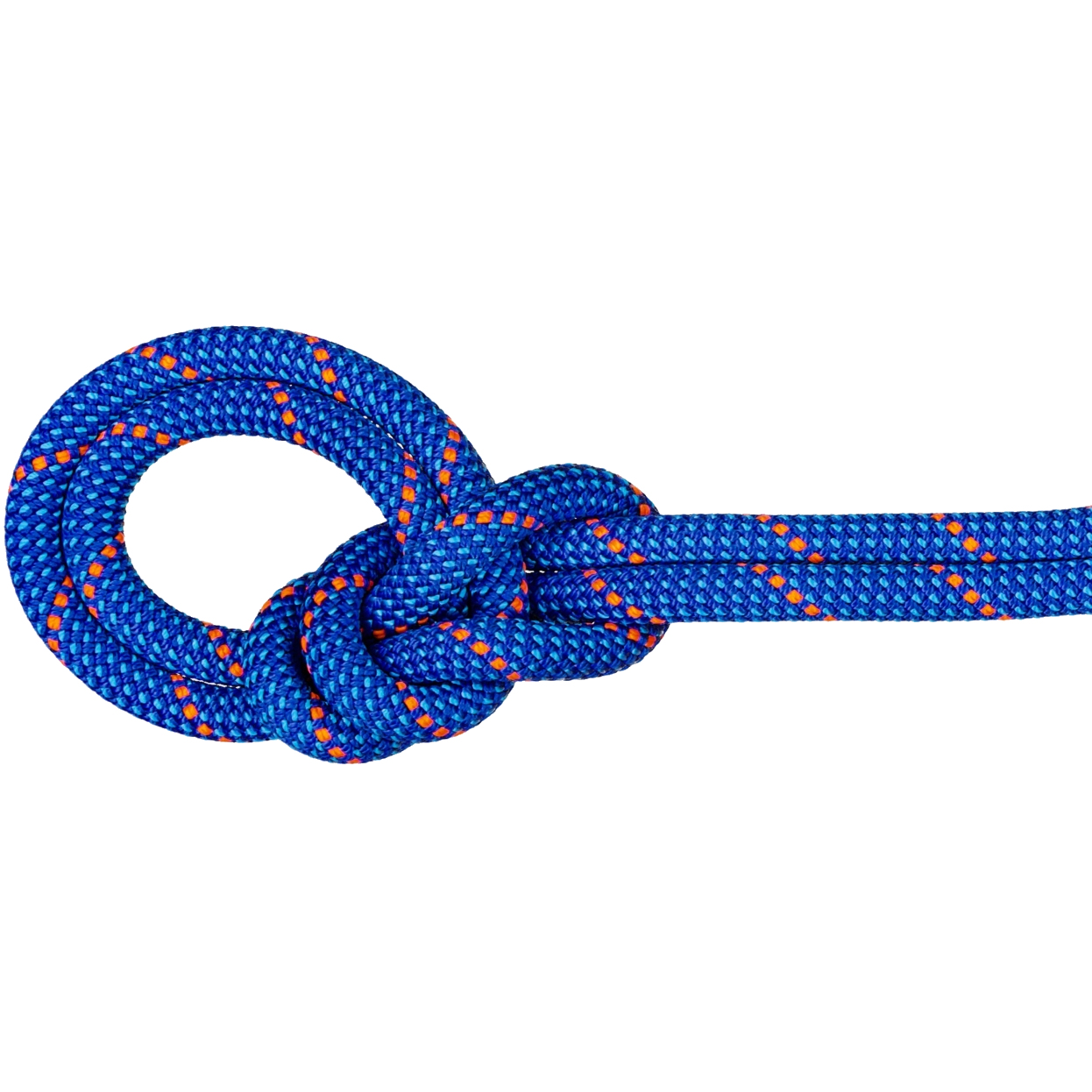 Picture of Mammut 9.5 Crag Dry Rope - 80m - blue-ocean