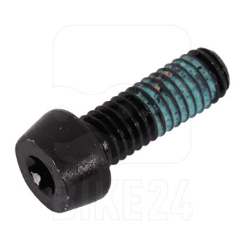 Picture of Magura IS Bolt Torx T25 Steel - 0724705
