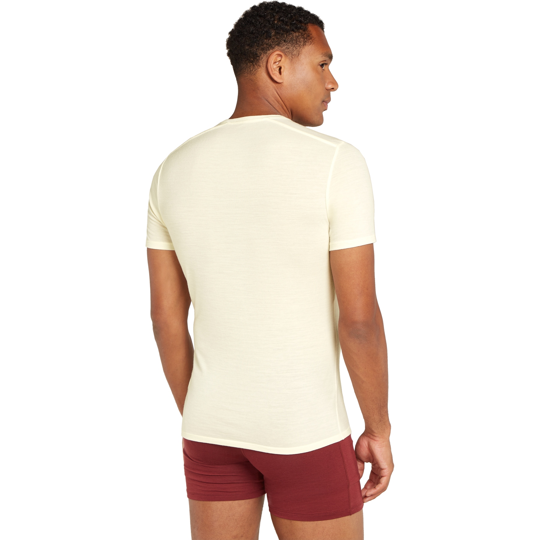 Icebreaker Men's Anatomica SS Crewe (Snow) Shirt