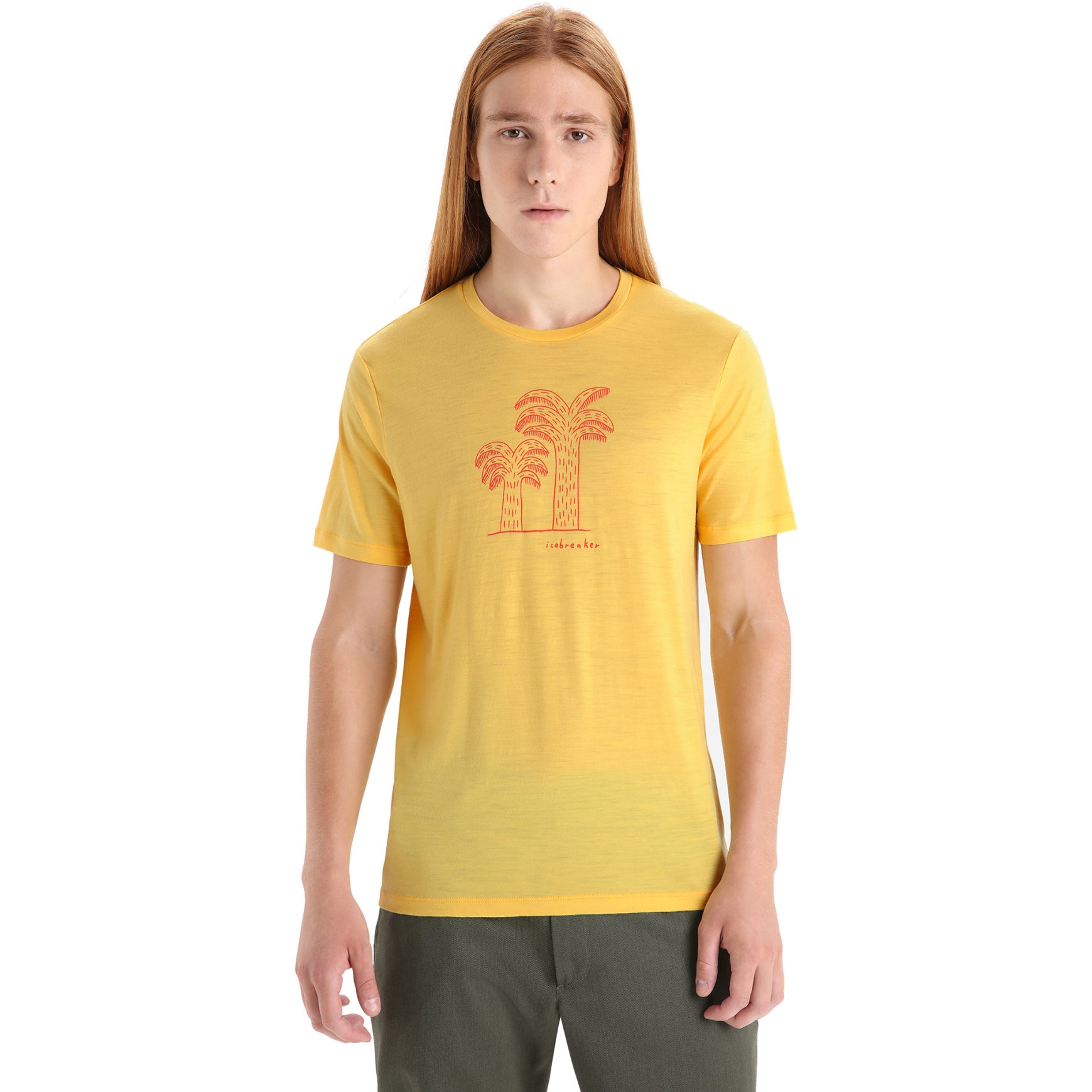 Imagen de Icebreaker Camiseta Hombre - Tech Lite II Giant Ferns - Summer