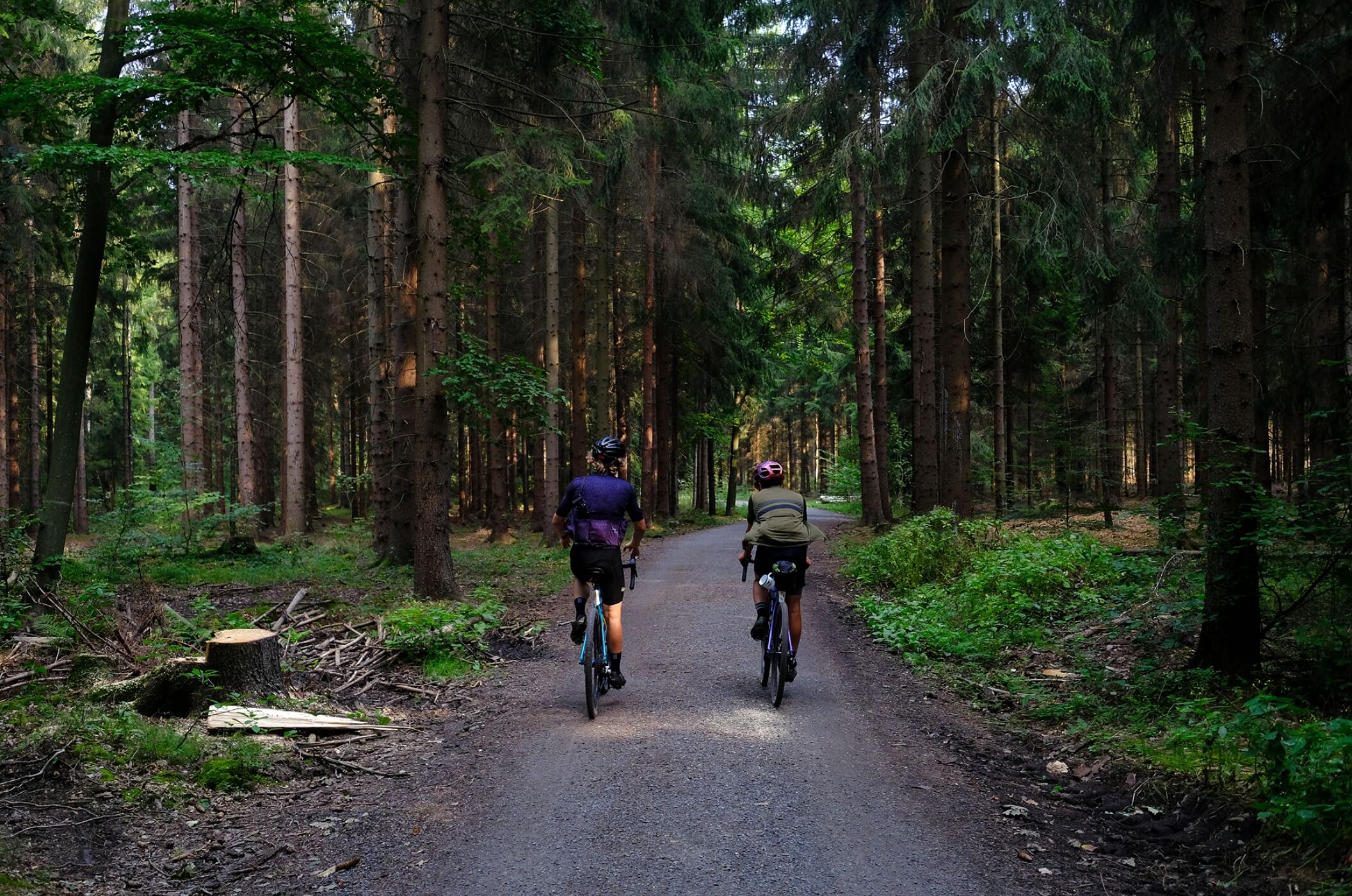 Two cyclists riding in the woods
