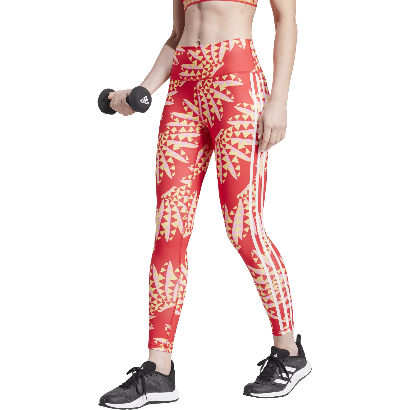 Bike Leggings Tights With  International Society of Precision Agriculture