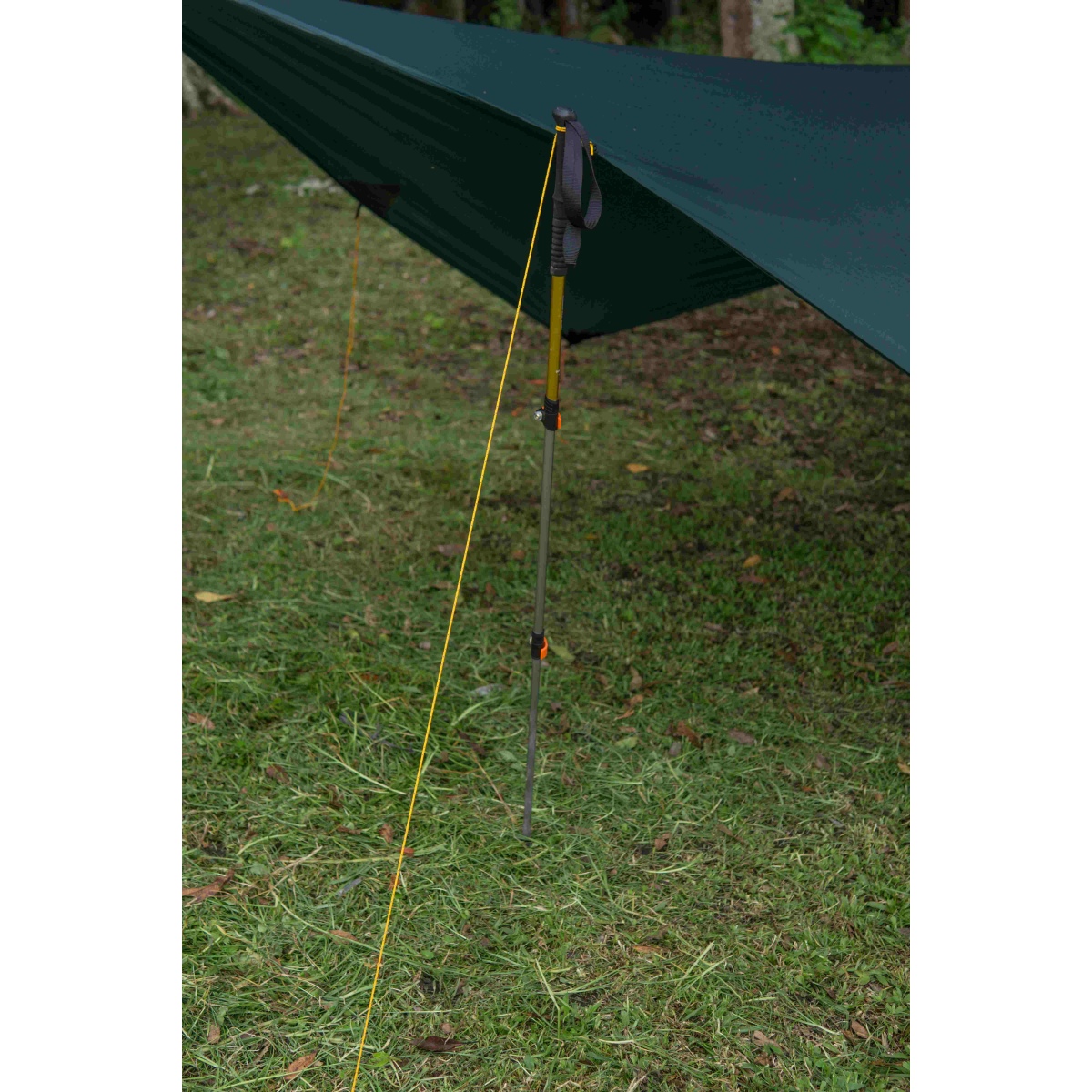 Ticket To The Moon Moon Tarp 2024 fr Hngematte - Dark Green | BIKE24