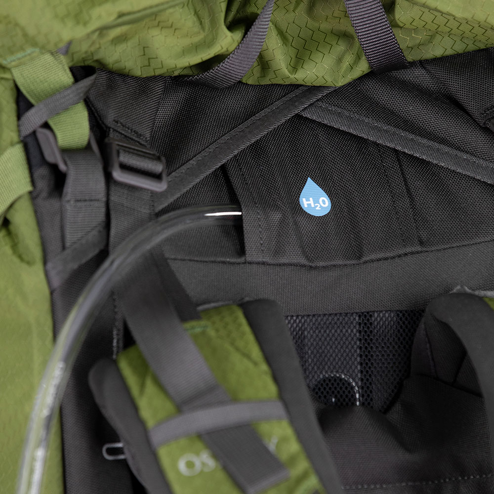 Osprey Aether 55 Backpack - Garlic Mustard Green