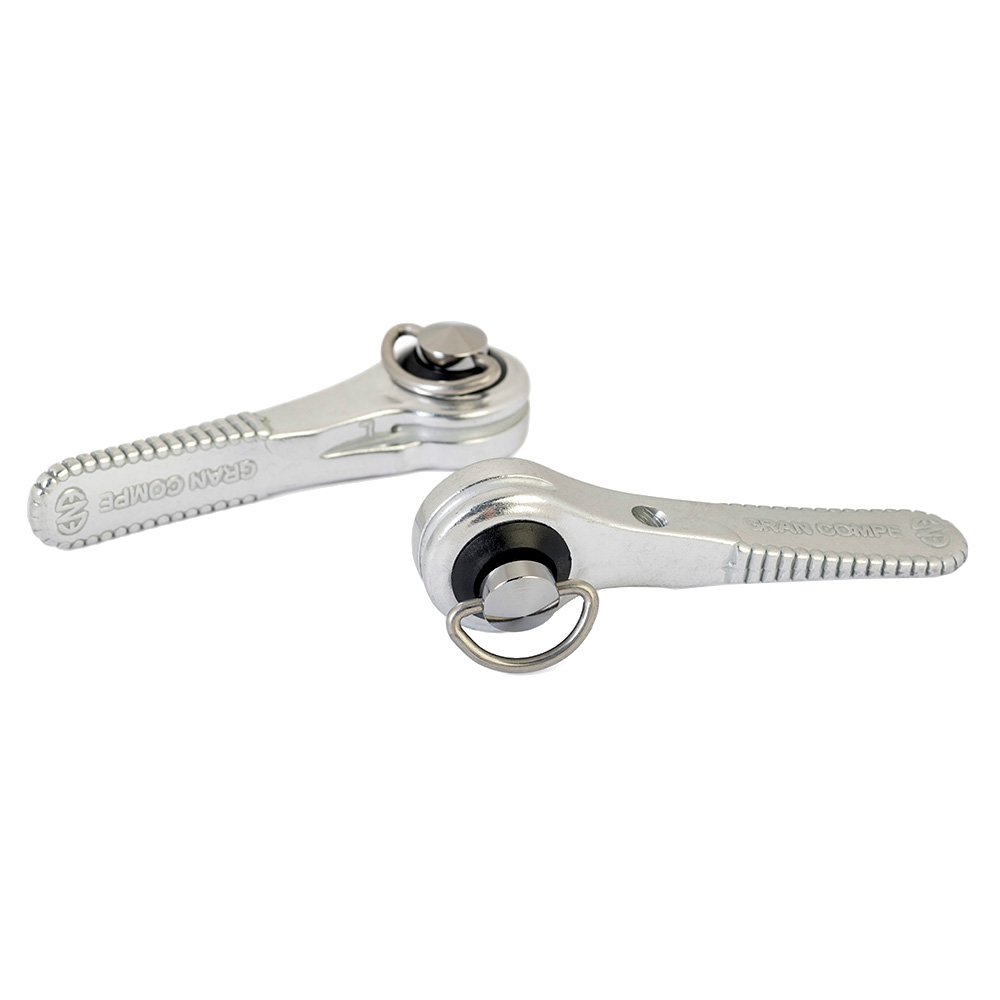 Image of Dia Compe ENE Downtube Shift Levers - silver