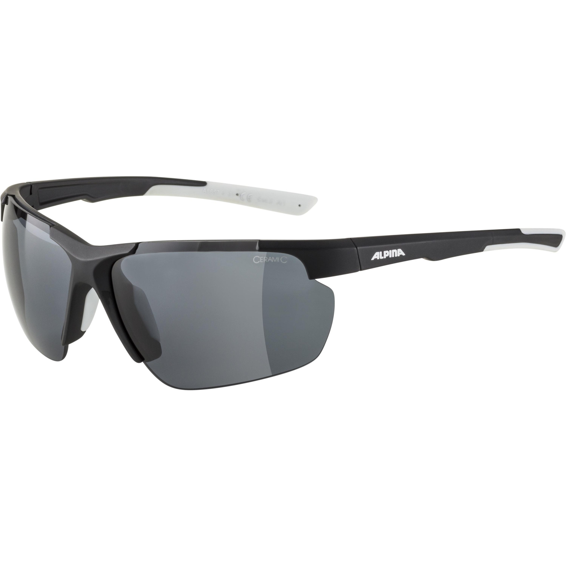 Picture of Alpina Defey HR Glasses - black matt-white / black