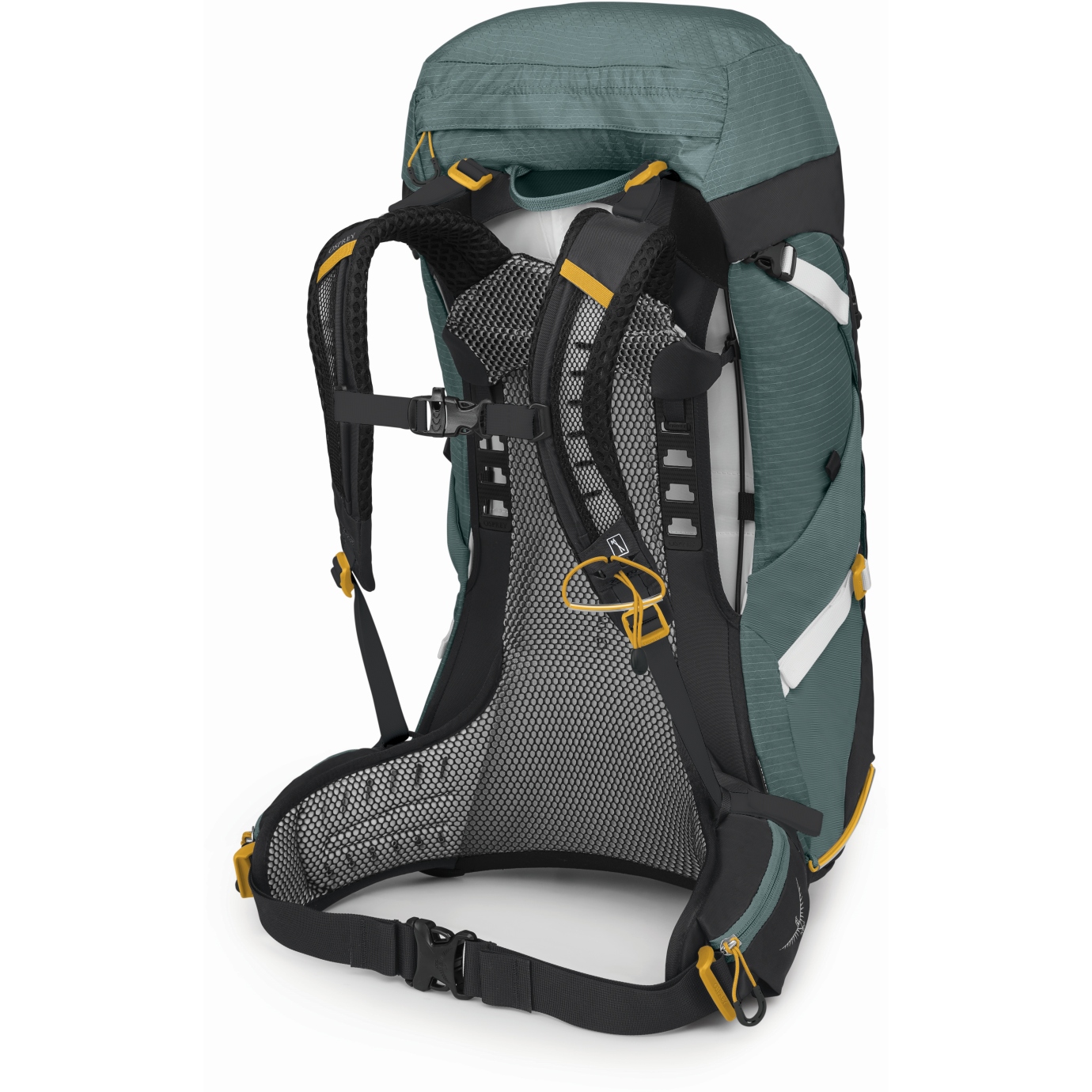 Osprey Sirrus 36 Women s Backpack Succulent Green BIKE24