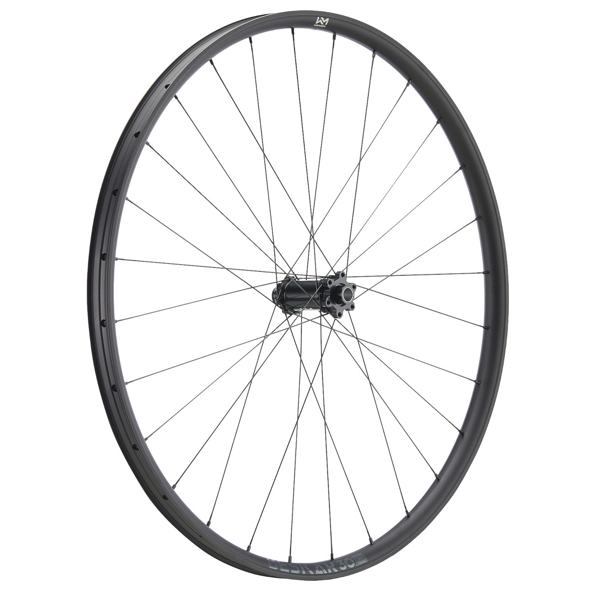 Kuva tuotteesta Newmen Beskar 30 XC Front Wheel - 29&quot; | Aluminium | Clincher | 6-Bolt - 15x110mm