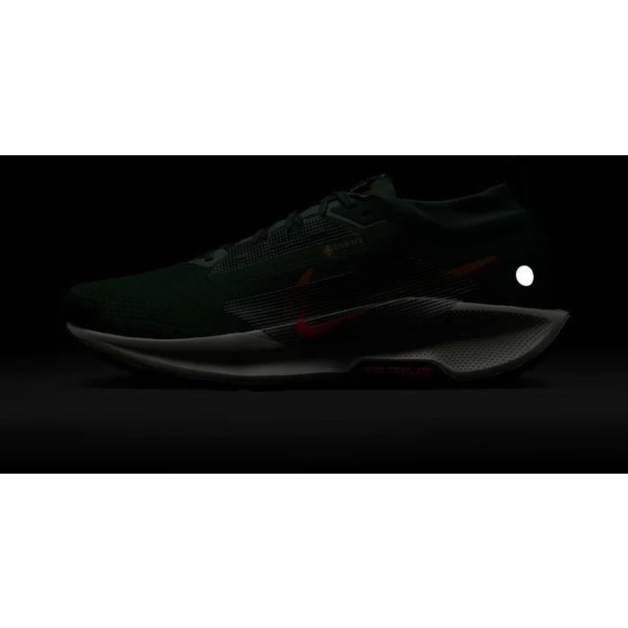 Nike Pegasus Trail GORE-TEX Running Shoes Men fir/clay green