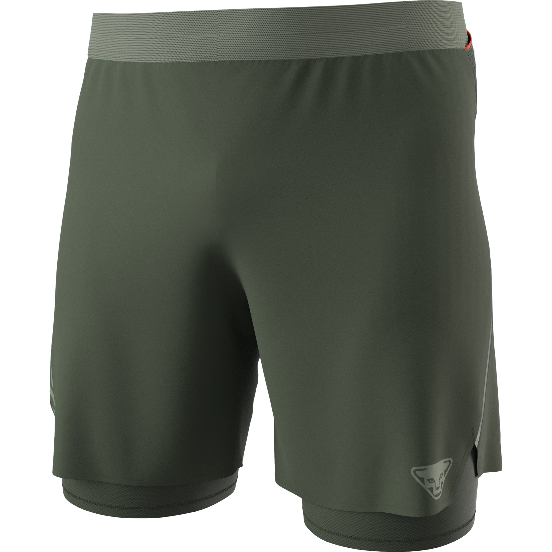 Picture of Dynafit Alpine Pro 2in1 Shorts Men - Thyme